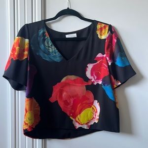 Babaton aritzia Murphy blouse